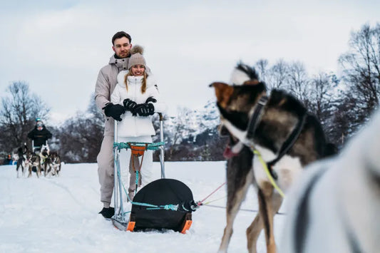 DOGSLEDDING ADVENTURE