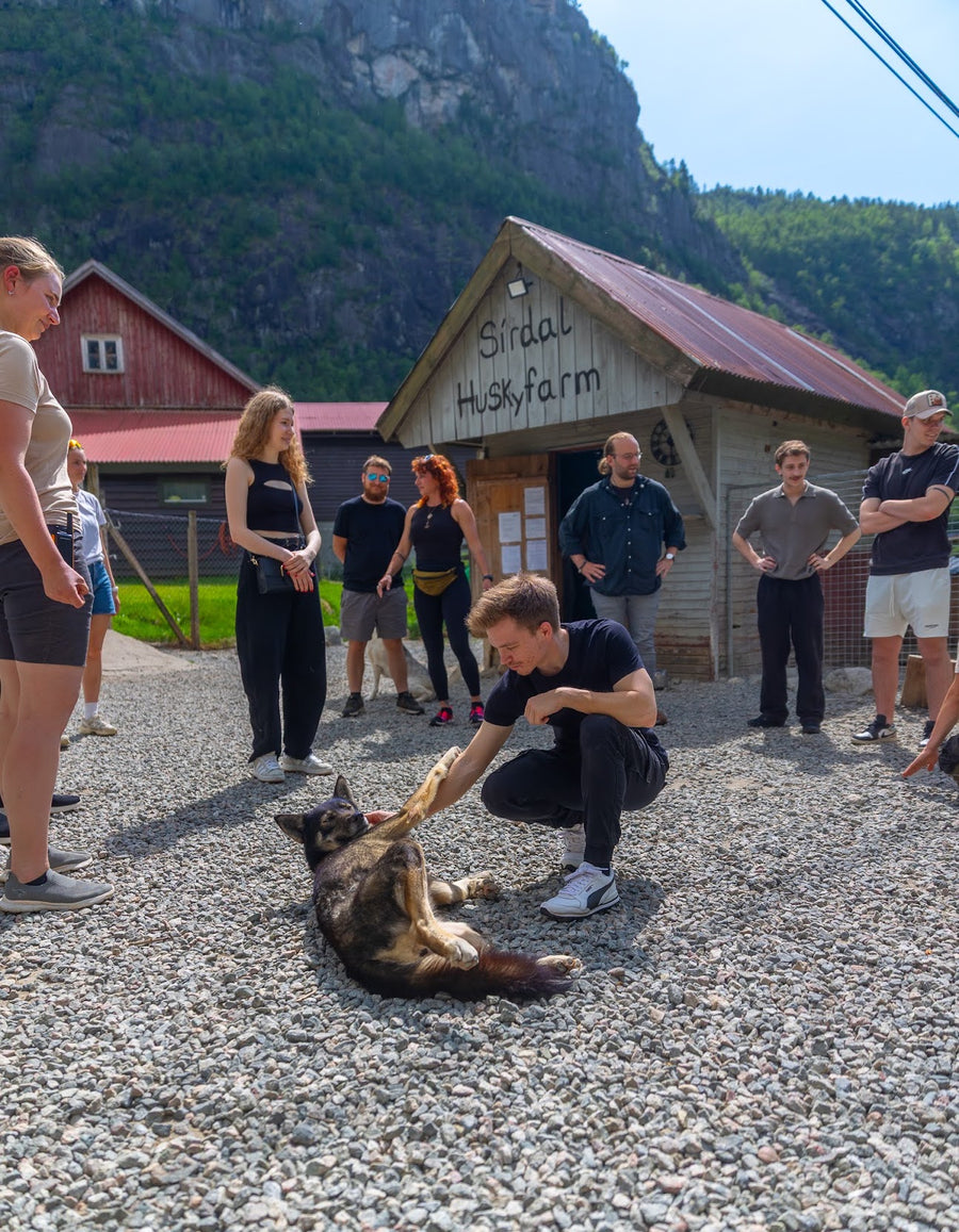 Sirdal Huskyfarm