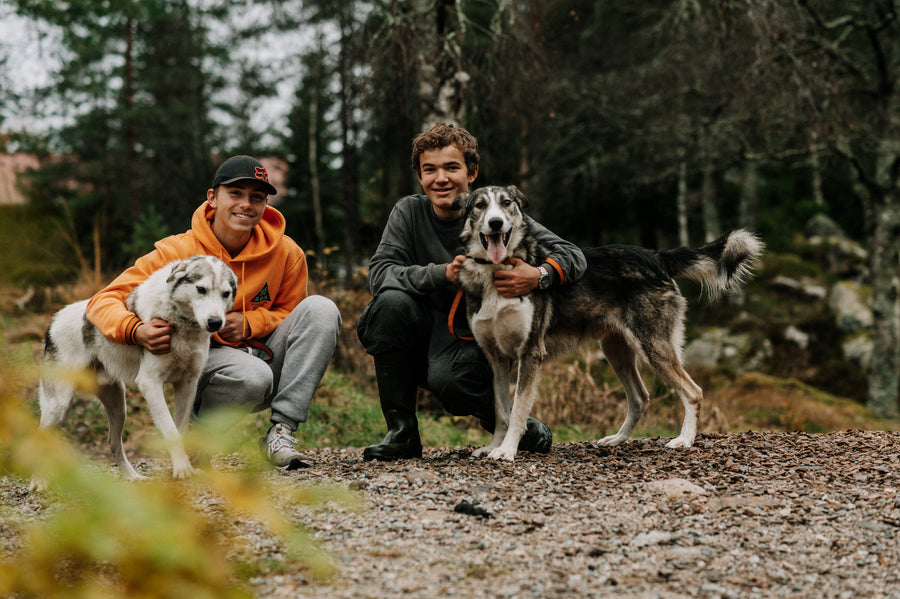 Sirdal Huskyfarm